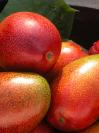 mon premier fruit préferée